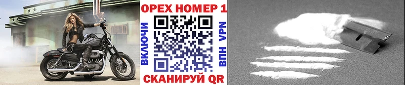 Купить где Алексеевка COCAIN FishScale