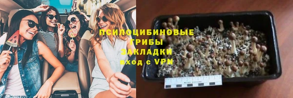 кокс Вяземский