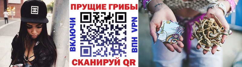 Галлюциногенные грибы Magic Shrooms  Купить закладки  Алексеевка 